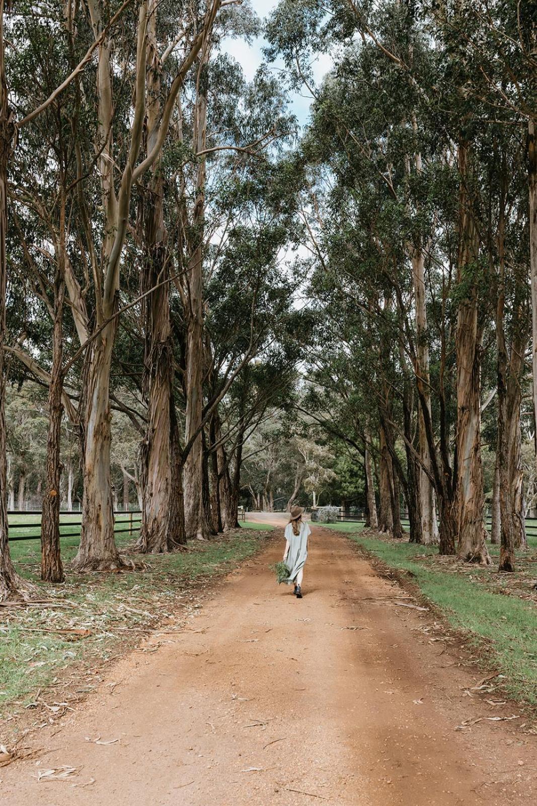 Chambre Estate Margaret River Eksteriør billede