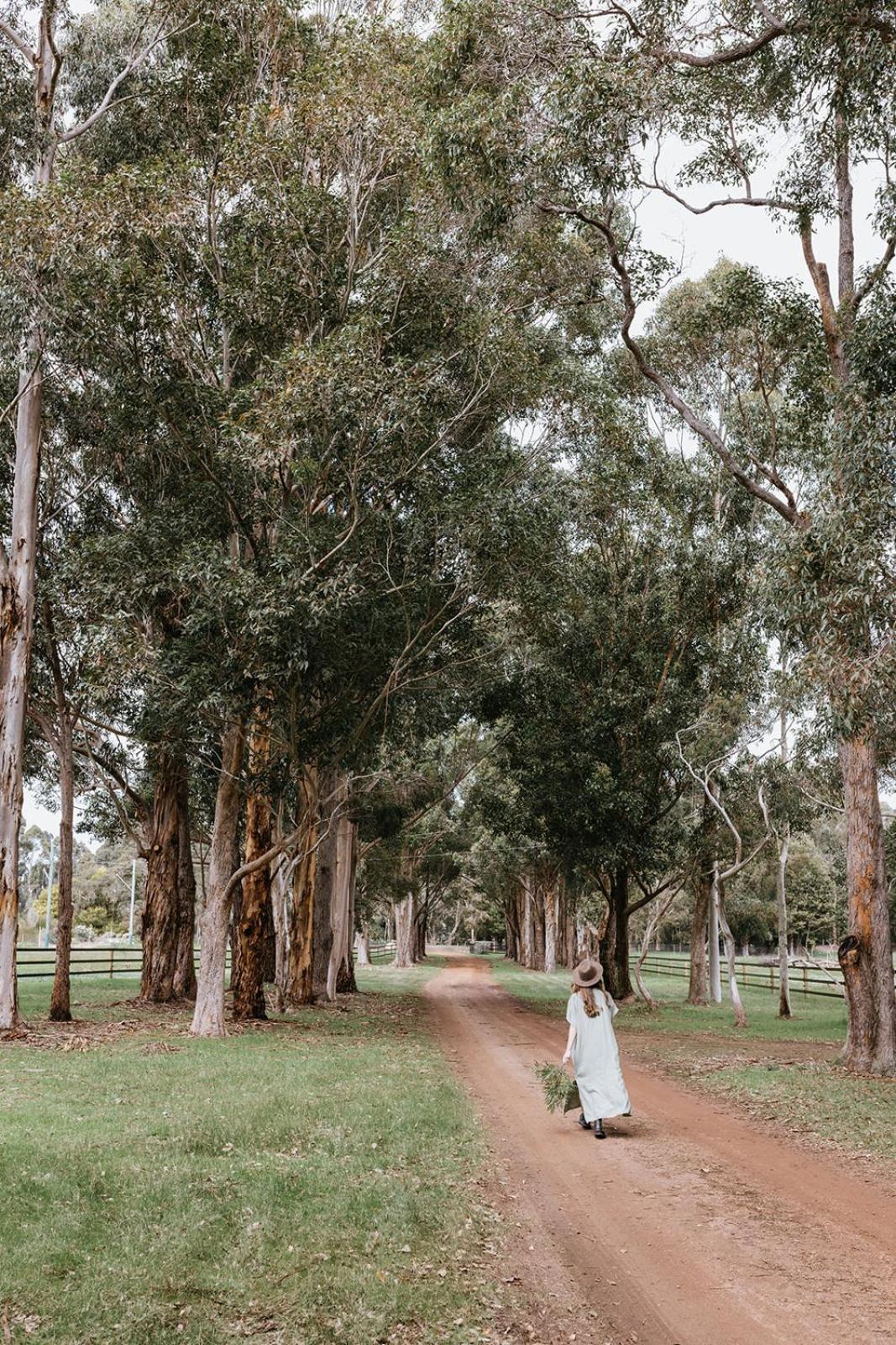 Chambre Estate Margaret River Eksteriør billede